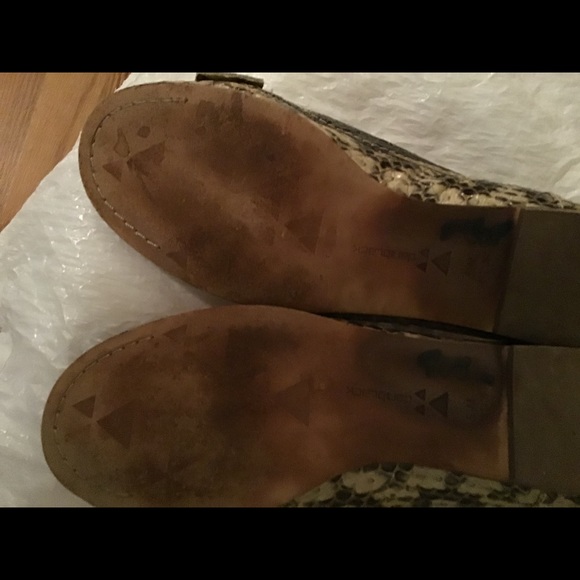 Daniblack Flats - Picture 4 of 4